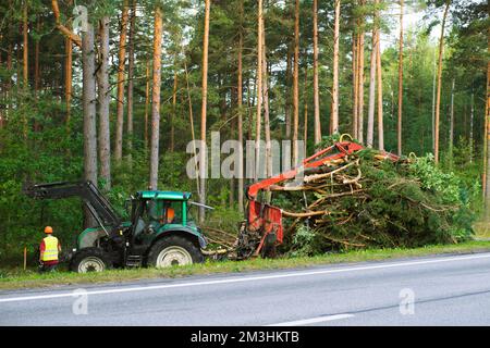 Traktor in der Nähe von Straßen entfernt gesägte Bäume. Schwere Geräte Stockfoto