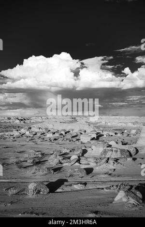 Foto aus der Ah-Shi-SLE-Pah Wilderness, einer abgelegenen Gegend im Zentrum von New Mexico, USA. Stockfoto