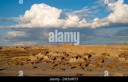 Foto aus der Ah-Shi-SLE-Pah Wilderness, einer abgelegenen Gegend im Zentrum von New Mexico, USA. Stockfoto