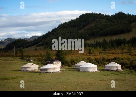 Jurtencamp umgeben von Bäumen auf dem Bergrücken. An einem sonnigen Tag auf dem Hügelkamm kleine Ger-Hütten. Stockfoto