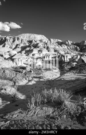 Foto aus der Ah-Shi-SLE-Pah Wilderness, einer abgelegenen Gegend im Zentrum von New Mexico, USA. Stockfoto