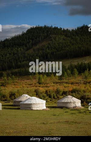 Jurtencamp umgeben von Bäumen auf dem Bergrücken. An einem sonnigen Tag auf dem Hügelkamm kleine Ger-Hütten. Stockfoto