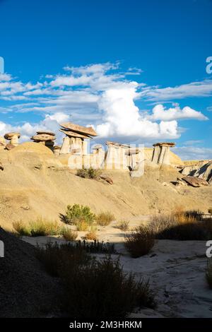 Foto aus der Ah-Shi-SLE-Pah Wilderness, einer abgelegenen Gegend im Zentrum von New Mexico, USA. Stockfoto