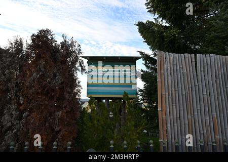 Farbiges Baumhaus aus gelben, weißen und grünen Holzplatten oder -Platten. Stockfoto