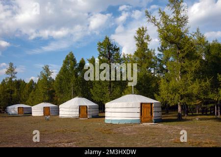 Jurtencamp an einem wunderschönen sonnigen Tag in der Mongolei. GER-Campingplatz im ländlichen Raum, Natur im Hintergrund. Stockfoto