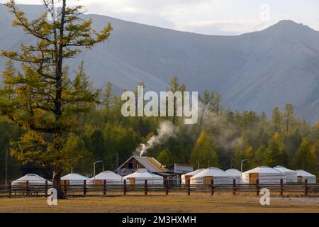 Jurtencamp umgeben von Bäumen auf dem Bergrücken. An einem sonnigen Tag auf dem Hügelkamm kleine Ger-Hütten. Stockfoto