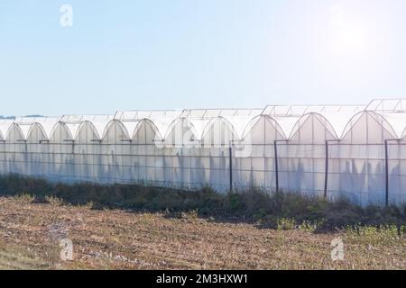 Blick auf eine typische Landschaft mit großen Gewächshäusern für den Anbau von Obst und Gemüse, insbesondere Bananen. Agroindustrieller Komplex des Landes Stockfoto