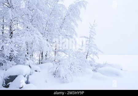 Schneebedeckte Bäume und Felsen. Winterlandschaft am Seeufer. Stockfoto