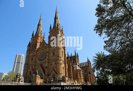 Landschaft mit der St Mary's Cathedral - Sydney, Australien Stockfoto