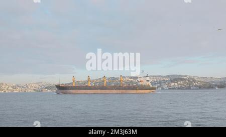 Das große Schiff fährt vor der Küste von Sea City. Aktion. Der Dampfer segelt im Hintergrund der Küste mit der Stadt. Der große Dampfgarer segelt vor der Küste mit Möwen ins Meer Stockfoto