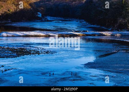 The River Lune, Halton, Lancashire, 15.. Dezember 2022 die gefrorene Oberfläche des Flusses Lune verbirgt den Fluss des Flusses unter dem Eis. Kredit: PN News/Alamy Live News Stockfoto