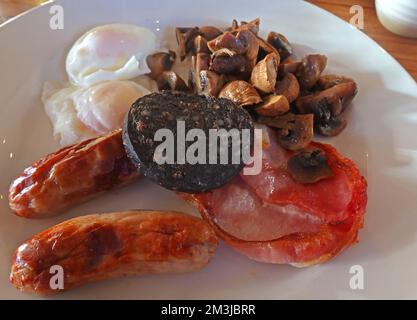 Gebratenes komplettes Frühstück, Pilze, Speck, Würstchen, pochierte Eier, Schwarzer Pudding, auf einem Teller Stockfoto