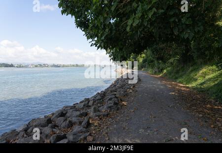 Tauranga Neuseeland - 4 2022. April; Daisy Hardwick Walkway am Waikareao Estuary 1 mit Schatten von Bäumen rund um den Hafen. Stockfoto