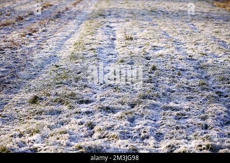 Berlin, Deutschland. 15.. Dezember 2022. Reife, kalte Natur im Bezirk Steglitz-Zehlendorf. (Foto: Simone Kuhlmey/Pacific Press) Kredit: Pacific Press Media Production Corp./Alamy Live News Stockfoto