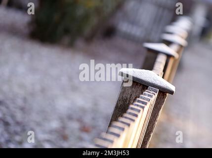 Berlin, Steglitz-Zehlendorf, Deutschland. 15.. Dezember 2022. Reife, kalte Natur im Bezirk Steglitz-Zehlendorf. (Kreditbild: © Simone Kuhlmey/Pacific Press via ZUMA Press Wire) Kredit: ZUMA Press, Inc./Alamy Live News Stockfoto