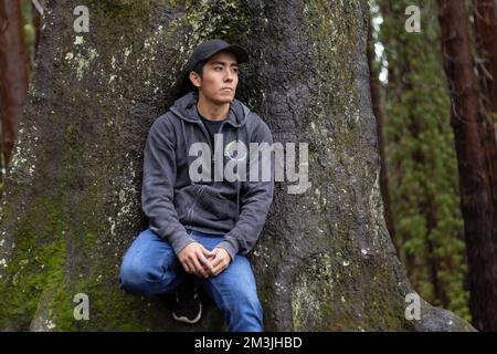 Asiatisch braun Junge sitzt auf einem Baum im Wald Stockfoto
