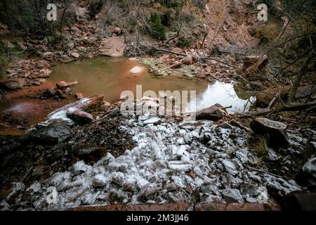 Verschiedene Farben, Texturen, Landschaften und Felsformationen in den Landschaften des Zion-Nationalparks im amerikanischen Südwesten im Bundesstaat Utah. Stockfoto