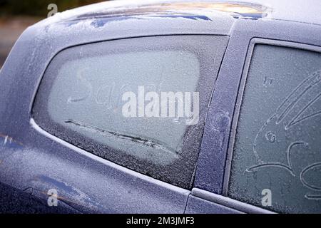 Berlin, Steglitz-Zehlendorf, Deutschland. 15.. Dezember 2022. Reife, kalte Natur im Bezirk Steglitz-Zehlendorf. (Kreditbild: © Simone Kuhlmey/Pacific Press via ZUMA Press Wire) Kredit: ZUMA Press, Inc./Alamy Live News Stockfoto