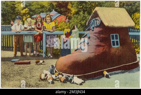 Die Old Lady Guiney Pig, die im Schuh im Kinderzoo lebte, Belle Isle - Detroit, Michigan, Sport- und Erholungseinrichtungen, Tichnor Brothers Collection, Postkarten der Vereinigten Staaten Stockfoto