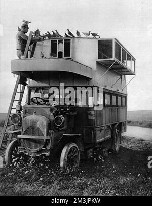 Ein umgebauter Bus für Tauben Stockfoto