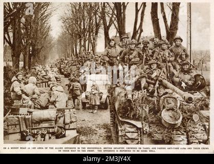 Britische Infanterie und Panzer, Reichswald; 2. Weltkrieg 1945 Stockfoto