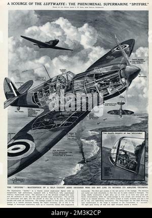 Schnittdiagramm eines Supermarine „Spitfire“ Stockfoto