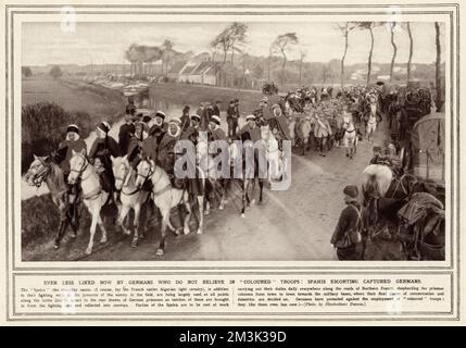 Algerische Truppen, die in Belgien mehrere deutsche Gefangene befehligten, November 1914 Datum: 1914 Stockfoto