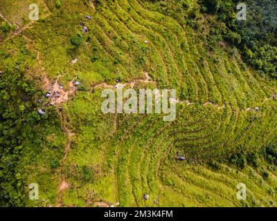 Bukit Broga Recreational Hill Park in Kajang Selangor Stockfoto