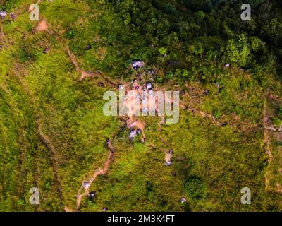 Bukit Broga Recreational Hill Park in Kajang Selangor Stockfoto