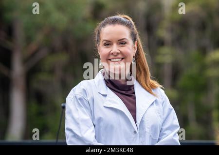 Landwirtinnen, die Pflanzen in asien züchten und anbauen Stockfoto