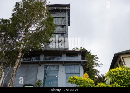 Architektur, asien, Bambus, Gebäude, Klassiker, Lichtung, Landschaft, Kultur, exotisch, berühmt, Wald, Gras, Grün, Erbe, historisch, Nach Hause, nach Hause, Stockfoto