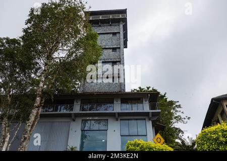 Architektur, asien, Bambus, Gebäude, Klassiker, Lichtung, Landschaft, Kultur, exotisch, berühmt, Wald, Gras, Grün, Erbe, historisch, Nach Hause, nach Hause, Stockfoto