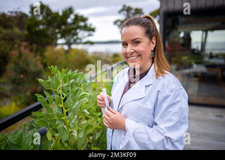 Landwirtinnen, die Pflanzen in asien züchten und anbauen Stockfoto