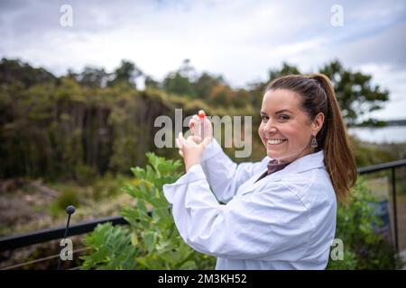 Landwirtinnen, die Pflanzen in asien züchten und anbauen Stockfoto