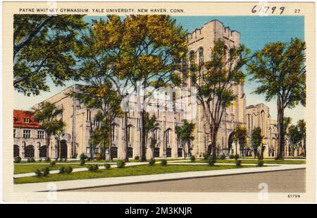 Payne Whitney Gymnasium. Yale University, New Haven, Conn , Universitäten und Hochschulen, Tichnor Brothers Collection, Postkarten der Vereinigten Staaten Stockfoto