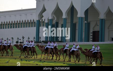 Sicherheitskräfte mit ihren Kamelen auf einer Wiese vor dem Amiri Diwan, dem offiziellen Arbeitsplatz und dem Büro des Emirs des Staates Katar Sicherheitskräfte mit ihren Kamelen auf einer Wiese vor dem Amiri Diwan, Der offizielle Arbeitsplatz und das Büro des Emir des Bundesstaates Katar Fussball WM 2022 bei der Qatar FIFA Fußball-Weltmeisterschaft 2022 © diebilderwelt / Alamy Stock Stockfoto