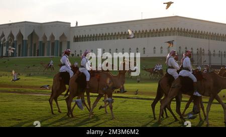 Sicherheitskräfte mit ihren Kamelen auf einer Wiese vor dem Amiri Diwan, dem offiziellen Arbeitsplatz und dem Büro des Emirs des Staates Katar Sicherheitskräfte mit ihren Kamelen auf einer Wiese vor dem Amiri Diwan, Der offizielle Arbeitsplatz und das Büro des Emir des Bundesstaates Katar Fussball WM 2022 bei der Qatar FIFA Fußball-Weltmeisterschaft 2022 © diebilderwelt / Alamy Stock Stockfoto