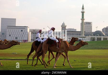 Sicherheitskräfte mit ihren Kamelen auf einer Wiese vor dem Amiri Diwan, dem offiziellen Arbeitsplatz und das Büro des Emirs des Staates Katar im Hintergrund die Skyline der Doha West Bay mit den modernen Hochhäusern Sicherheitskräfte mit ihren Kamelen auf einer Wiese vor dem Amiri Diwan; Der offizielle Arbeitsplatz und das Büro des Emir des Bundesstaats Katar, im Hintergrund die Skyline der Doha West Bay mit den modernen Hochhäusern Fussball WM 2022 in Katar FIFA Fußball-Weltmeisterschaft 2022 © diebilderwelt / Alamy Stock Stockfoto