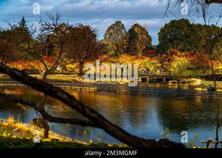 Nabana No Sato Beleuchtung 2022 Stockfoto