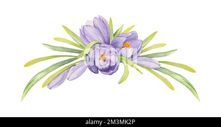 Handgezeichnete Aquarelle mit Frühlingsblumen, Krokus, Blättern und Stielen, Schleife, Geschenkanhänger. Isoliert auf weißem Hintergrund. Für Einladungen, Hochzeit Stockfoto