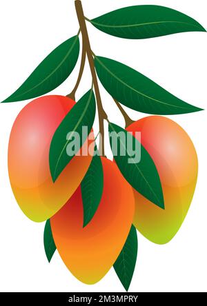 Farb-Mangos-Zweig Stock Vektor