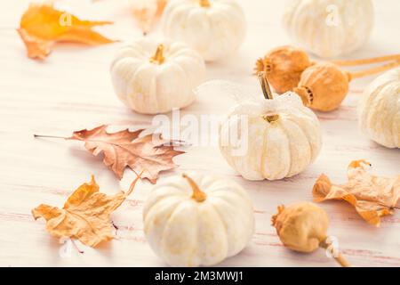 Weiße Kürbisse mit Herbstblättern auf Holzhintergrund im Vintage-Stil. Thanksgiving- und Halloween-Konzept. Stockfoto