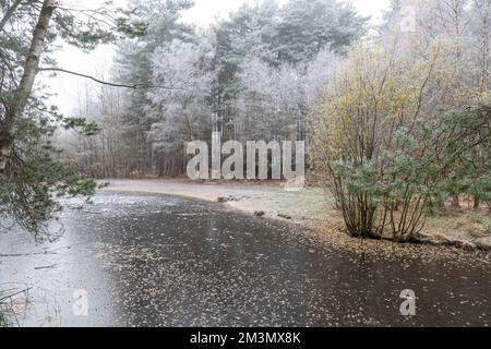 Gefrorener Teich oder See bei Frimley Fuel Allotments im Dezember 2022, mit Eisfrost, Surrey, England, Großbritannien Stockfoto