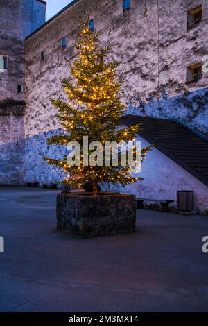 Weihnachtsbaum im Innenhof der Festung Hohensalzburg in der Abenddämmerung, Salzburg, Österreich Stockfoto