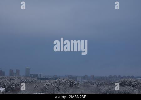 Foto des Vilnius-Gebäudes und der Baumkronen im Schnee vor einem blauen Himmel Stockfoto