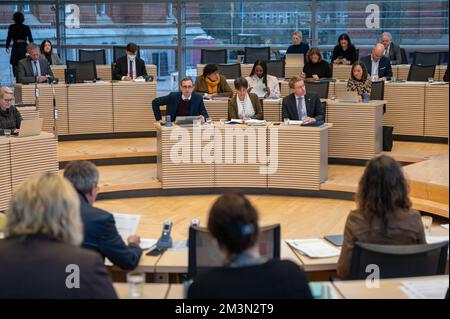 Plenarsitzung im Landeshaus Kiel Plenarsaal mit Abgeordneten Stockfoto