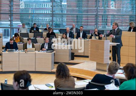 Plenarsitzung im Landeshaus Kiel der Abgeordneten der FDP Dr. Bernd Buchholz bei seiner Rede vor dem Plenum Stockfoto