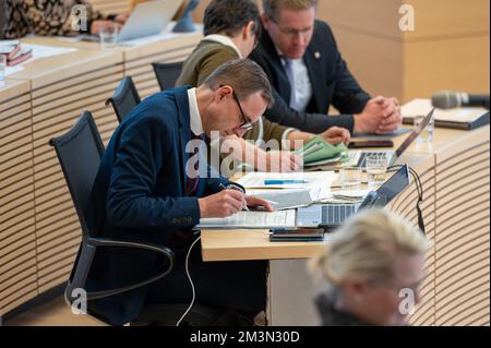 Plenarsitzung im Landeshaus Kiel Abgeordnete diskutieren die Probleme der heutigen Zeit Stockfoto