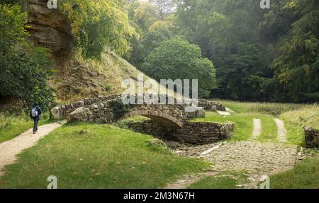 Indianerin und Asiatin, die allein im Herbst im Seven Bridges Valley, Nidderdale AONB, North Yorkshire, England, wandern Stockfoto
