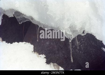 Schnee bildet sich, wenn winzige Eiskristalle in Wolken zu Schneeflocken zusammenkleben. Wenn genug Kristalle zusammenhalten, werden sie schwer genug, um auf den Boden zu fallen. Schneeflocken, die durch feuchte Luft, die etwas wärmer als 0 °C ist, absinken, schmelzen an den Rändern und kleben zusammen, um große Flocken zu erzeugen. Stockfoto